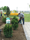 Memorial Garden - May 2009