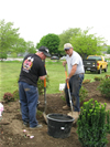 Memorial Garden - May 2009